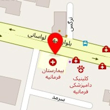 دکتر مهرنوش امیری