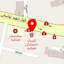 دکتر مهرنوش امیری