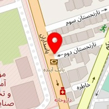 دکتر سعیده شاه علی