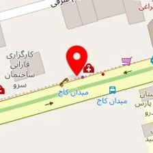 دکتر دینا فداکار