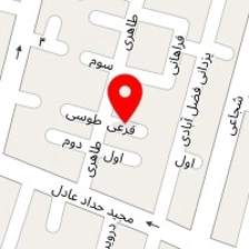 دکتر مسعود عباس پور