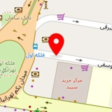 دکتر محمود ناصری