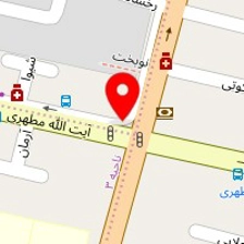 دکتر رضا بازرگان پور