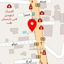 دکتر رضا رضوی