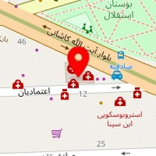 دکتر پروانه جهانشاهی