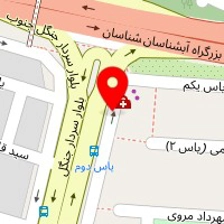 دکتر مریم سلیمان نژاد