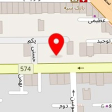 دکتر مریم الماسی
