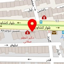 دکتر مهری رایکا