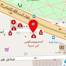 دکتر فریدون برگی