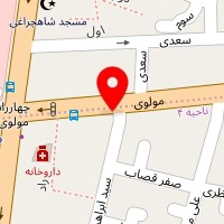 دکتر محسن برزگران