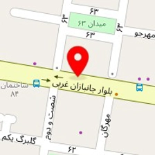 دکتر مریم نادری
