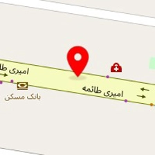 دکتر ستاره فخر طباطبایی