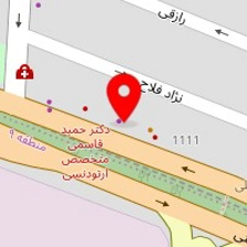 دکتر شقایق برزگر