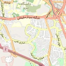 سالن زیبایی میخک نقره ای