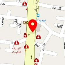 دکتر نرگس لشنی