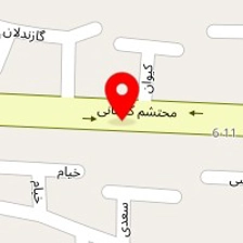 دکتر پریسا رضا پوریان