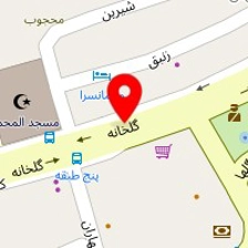 دکتر نسرین مالکی
