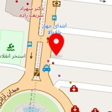 دکتر صدیقه نجفی