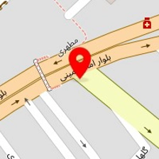 دکتر سمیرا محمودی
