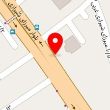 دکتر صبا صباغی