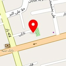 دکتر ناهید بی همتا