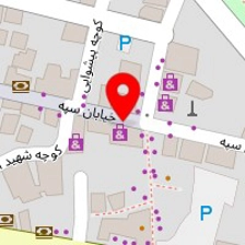 سالن زیبایی طوطیان