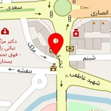 دکتر فروزان میلانی