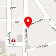 دکتر سعیده محتوی پور