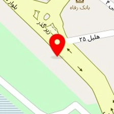 دکتر الهه افشاری پور