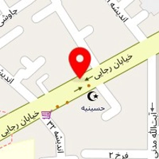 دکتر مرتضی علوی