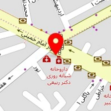 دکتر پریسا شانقی