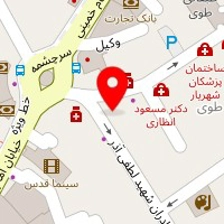دکتر مژگان برزگر