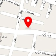 خدمات کامپیوتری رادیسم