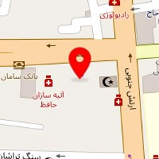 دکتر علی فولادی
