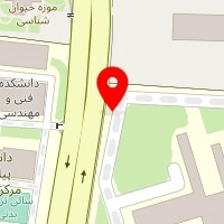 دکتر ندا محمدپور