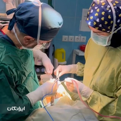 دکتر سیف اله بابایی
