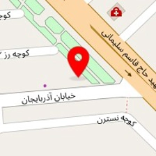 دکتر هاله ولی زاده