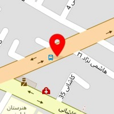 پویا یدک