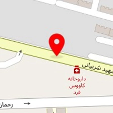 دنا یدک