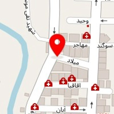 دکتر هدیه دانشور
