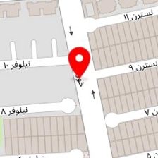 آموزش لاین تخصصی کراتین و رنگ و لایت