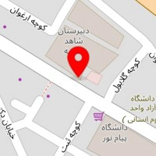 داده پردازان پورسام
