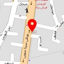 دکتر پرویز ترک زبان