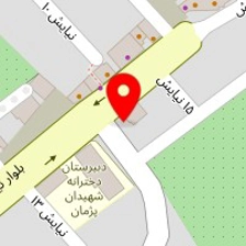 دکتر سینا تقی زاده