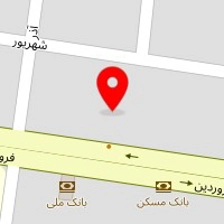 دکتر رضا میرزایی