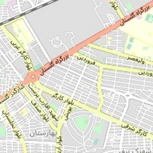 دکتر شیرین مددی