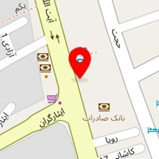 دکتر نجمه دهشیری زاده