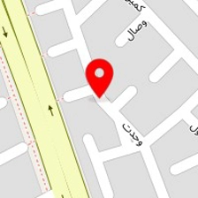 دکتر زیبا دهقانی