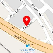 دکتر نسرین نصیرزاده