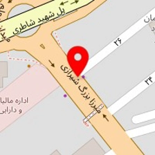 دکتر ماجد مرتضوی